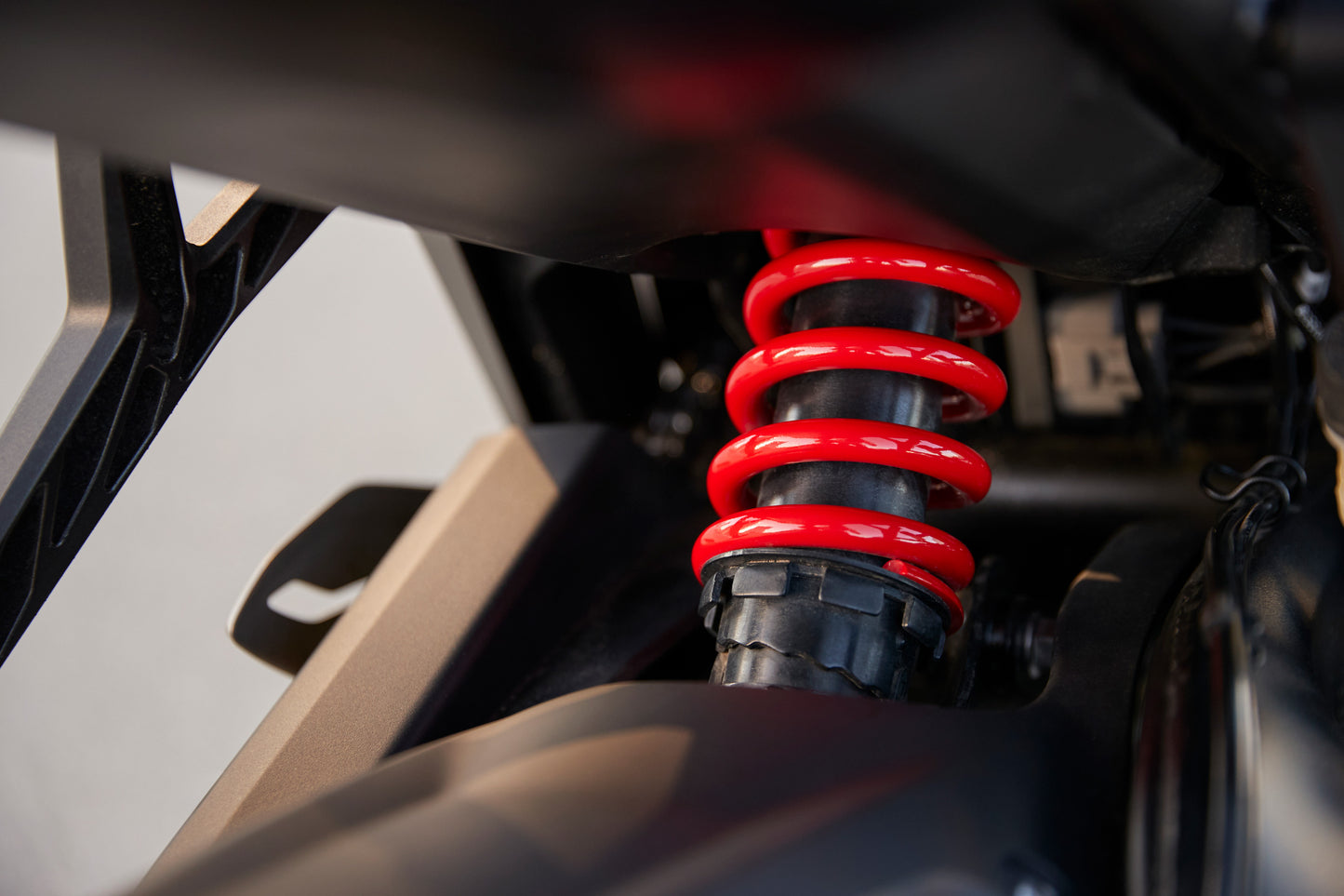 Daytona 660 - 2025