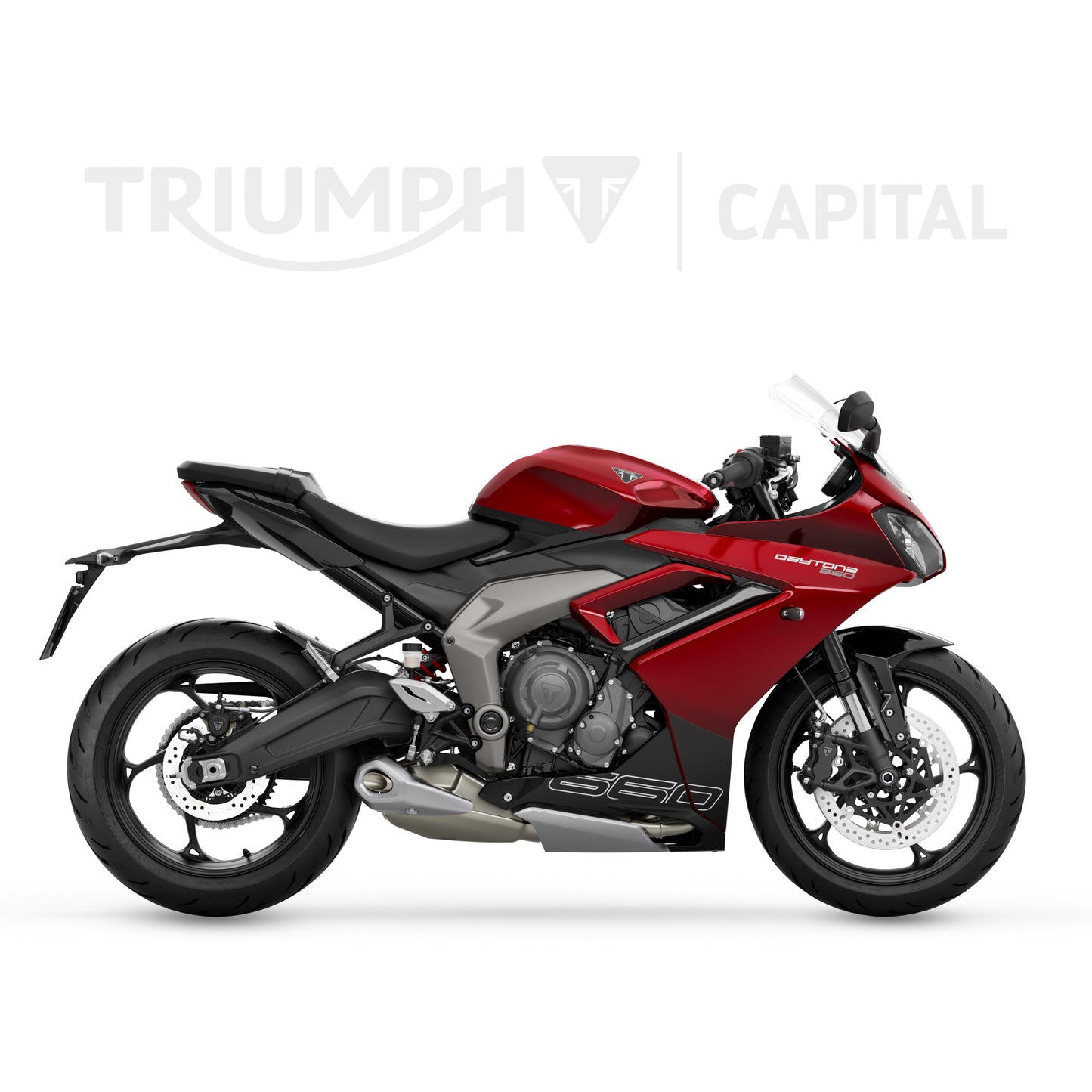 Daytona 660 - 2025