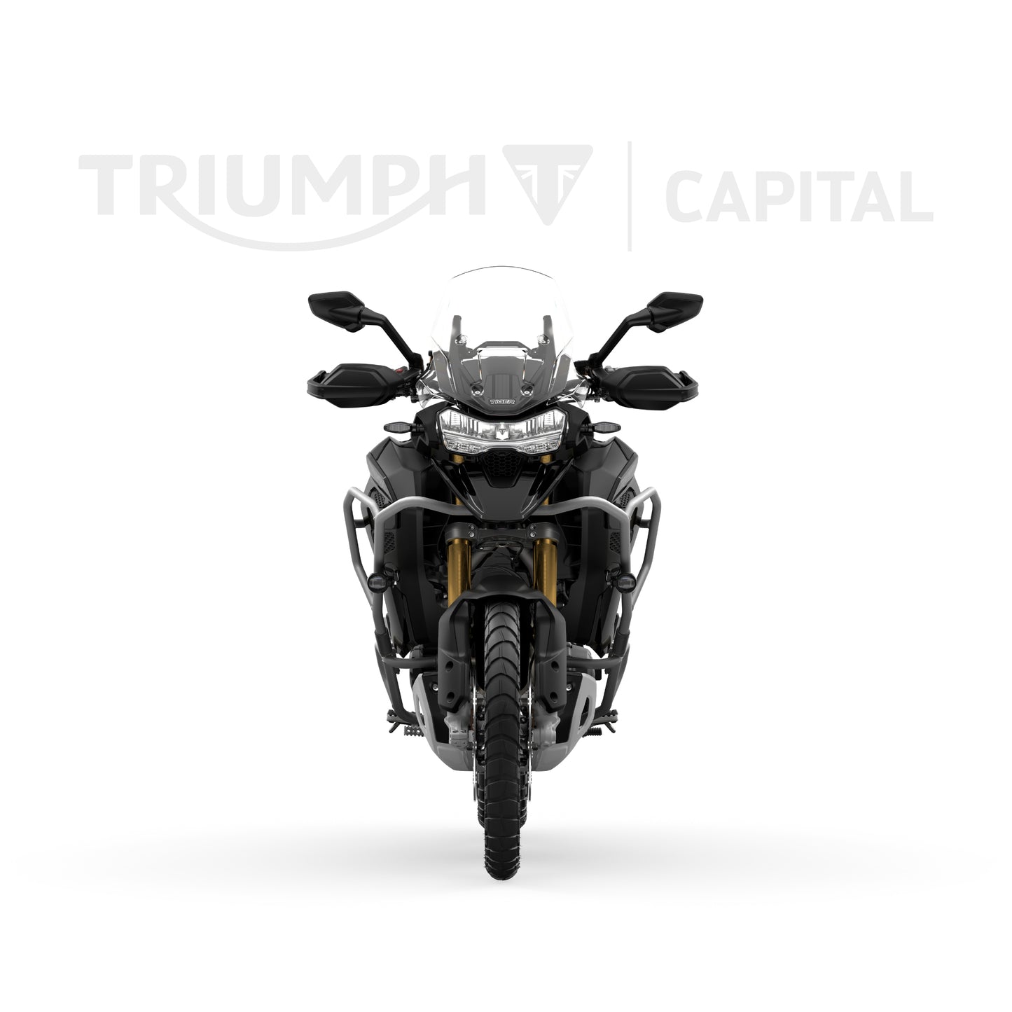 Tiger 1200 Rally Explorer 2025