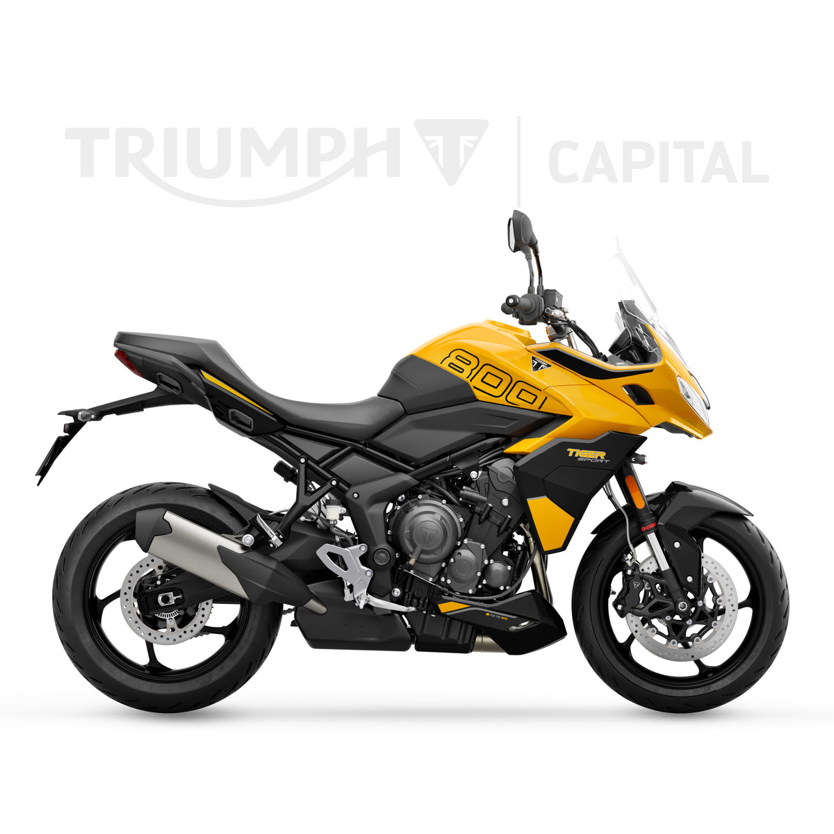 Tiger Sport 800 2026