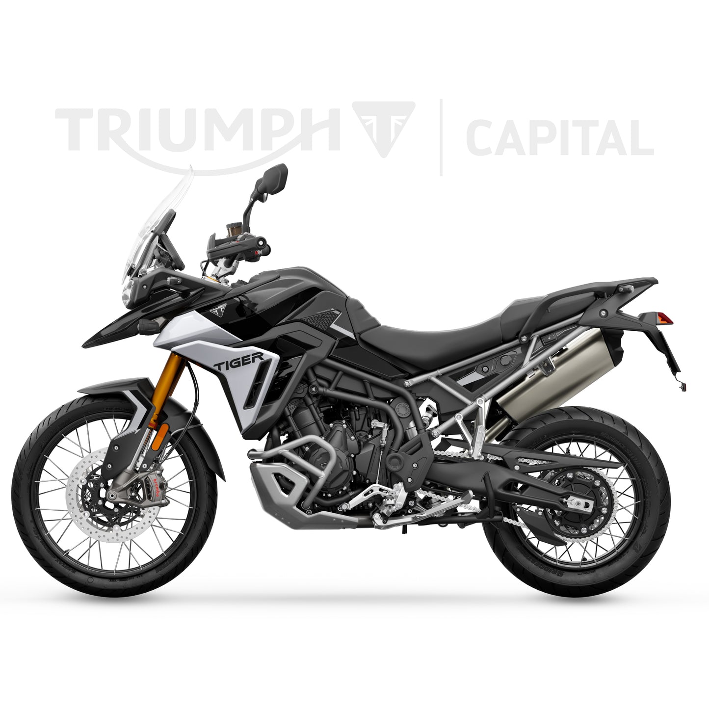 Tiger 900 Rally Pro 2024
