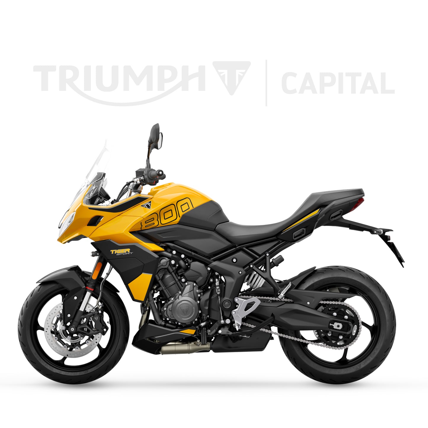 Tiger Sport 800 2025