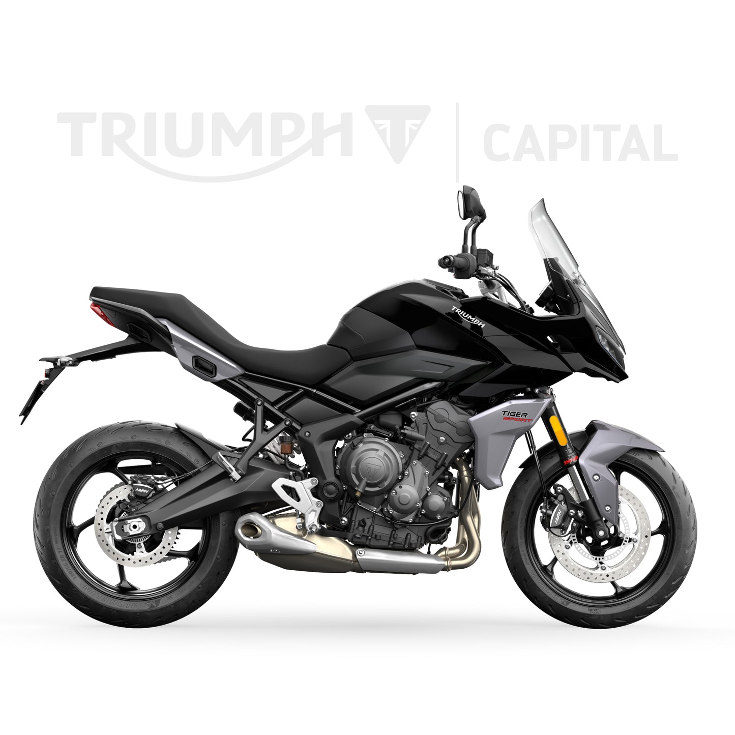 Tiger Sport 660 -2024