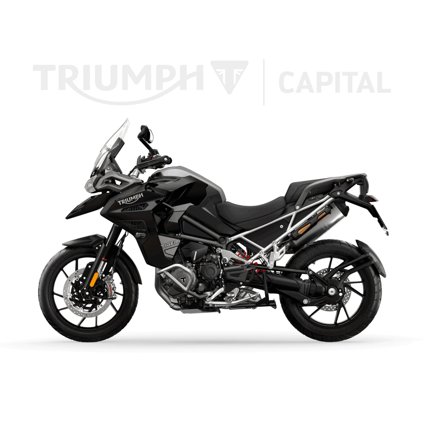 Tiger 1200 GT Explorer 2025